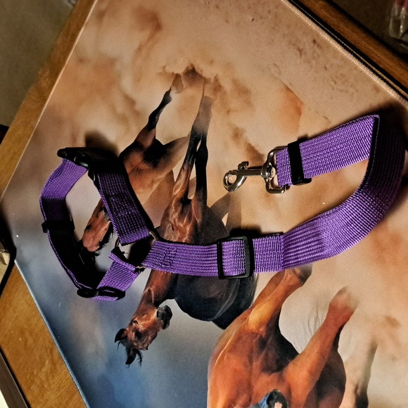 Other - Adjustable safety seat belt/ BUNDLE ONLY 2or more items